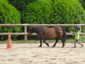 Longues rênes - Club hippique du Gévaudan