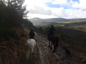 Balade équestre en Lozère - Club hippique du Gévaudan