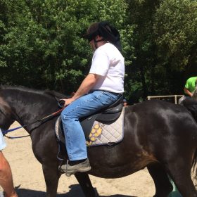 Stage d’équitation pour adultes – cours en carrière au Club Hippique de Gévaudan