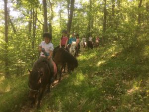 Promenade en poney en forêt - Club hippique du Gévaudan