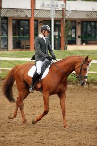 Reprise de dressage - Club hippique du Gévaudan