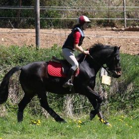 Passage du Galop 7 en stage d’équitation – club équestre Lozère
