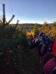 Promenade en poney dans la nature de Lozère - Club hippique du Gévaudan