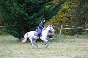 Galop dans cross - Club hippique du Gévaudan