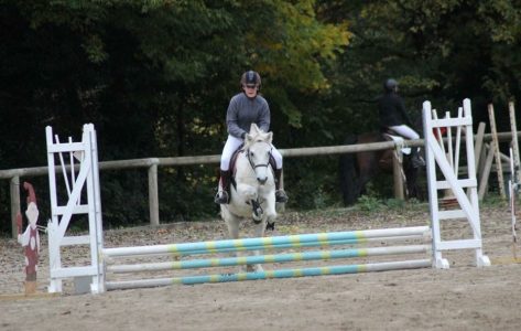 Cours de perfectionnement en dressage, CSO, cross – équitation adulte en Lozère