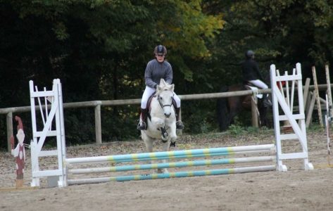 saut d'obstacle - Club hippique du Gévaudan