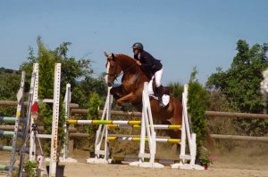 Double obstacle - Club hippique du Gévaudan