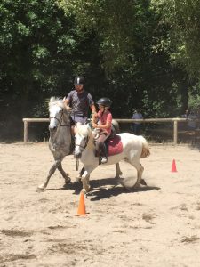 Cours de poney en carrière - Club hippique du Gévaudan