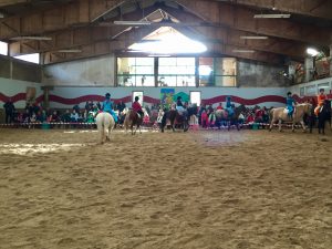 Défilé dans manège du Club hippique du Gévaudan