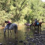 séjour équestre avec balade en nature