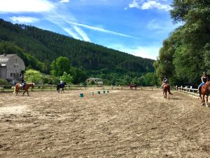 séjour équestre avec reprise en carrière