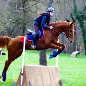 stage de perfectionnement Club Hippique du Gévaudan