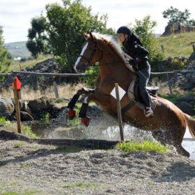 stage de perfectionnement cross Club Hippique du Gévaudan