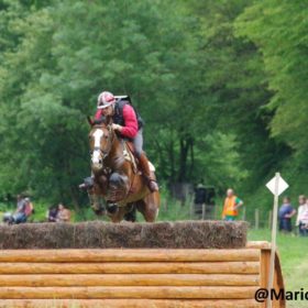 stage de perfectionnement à cheval Club Hippique du Gévaudan